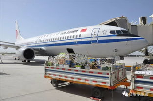 巴州2019年農特產品航空貨運專號續航啟動 高效物流助力特色經濟騰飛